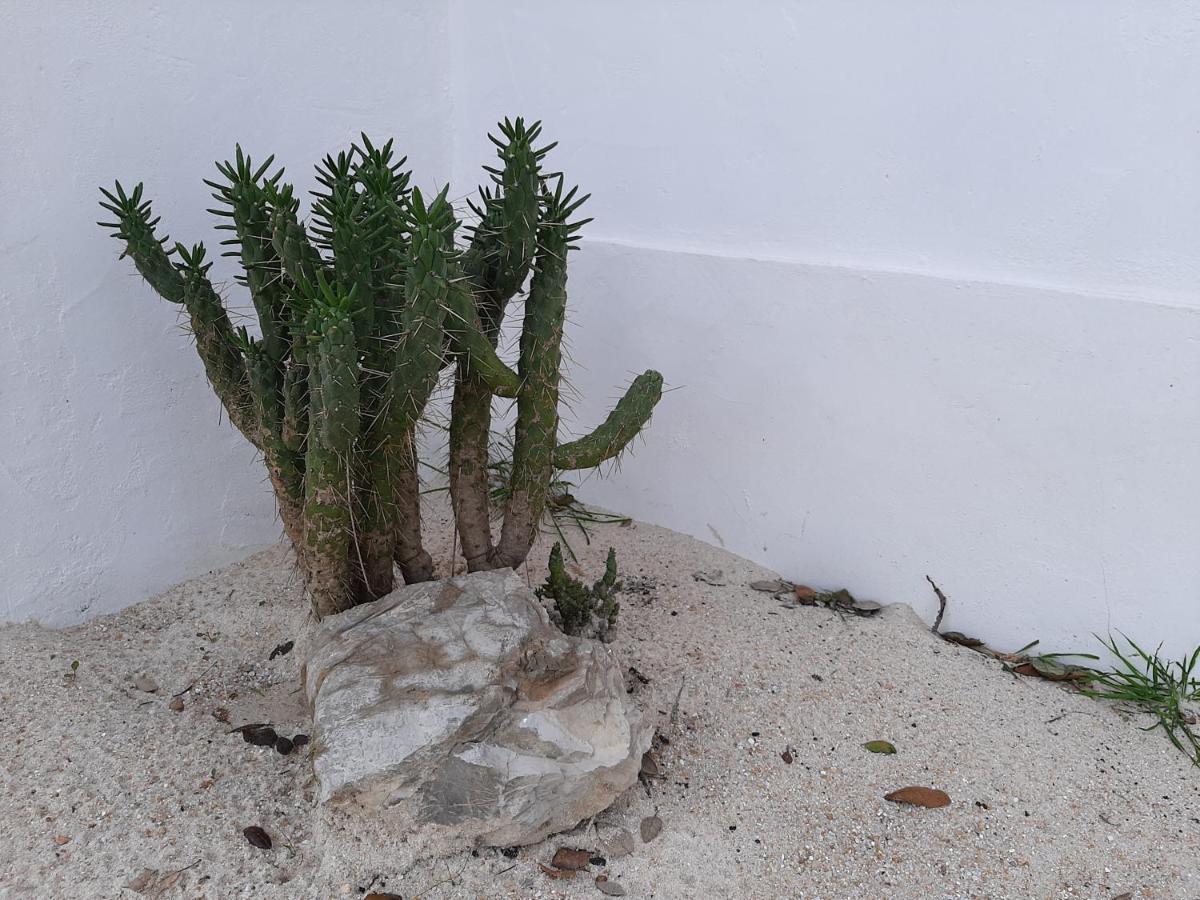 הוילה São Bartolomeu da Serra Monte Vale Manhas By Hi Alentejo מראה חיצוני תמונה